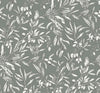 Aceituna Verde Celadón