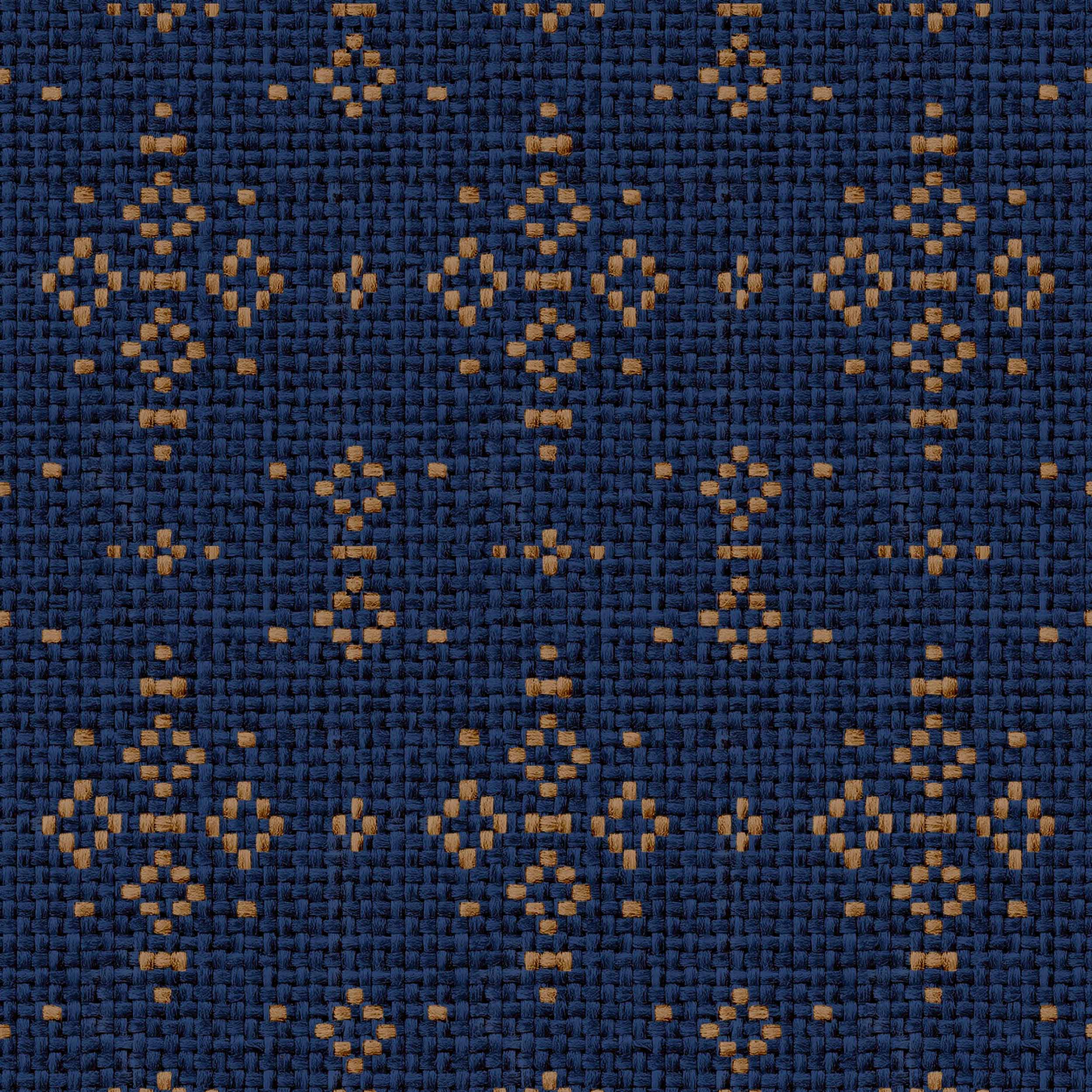 Muestra de Mazahua Índigo