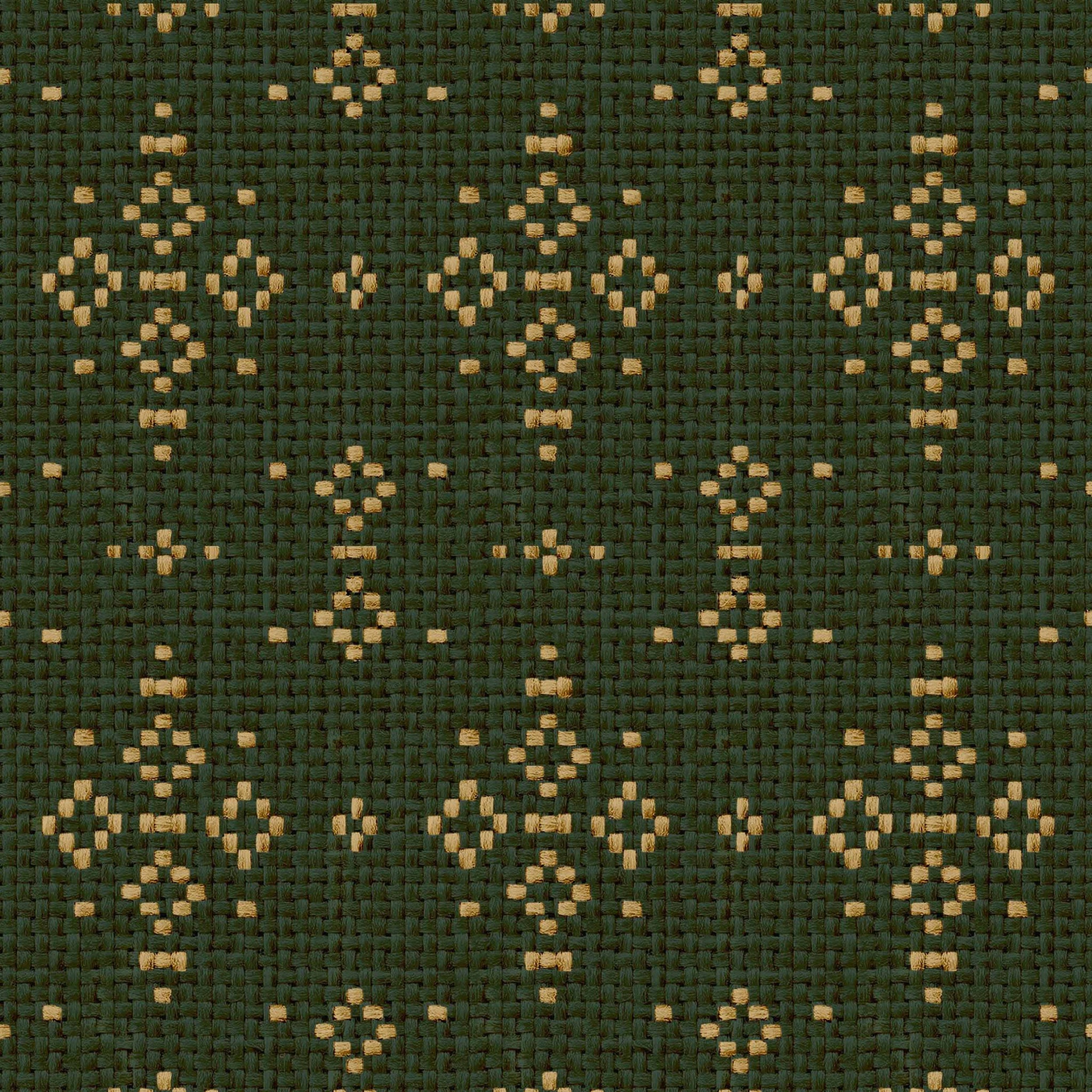 Muestra de Mazahua Cactus