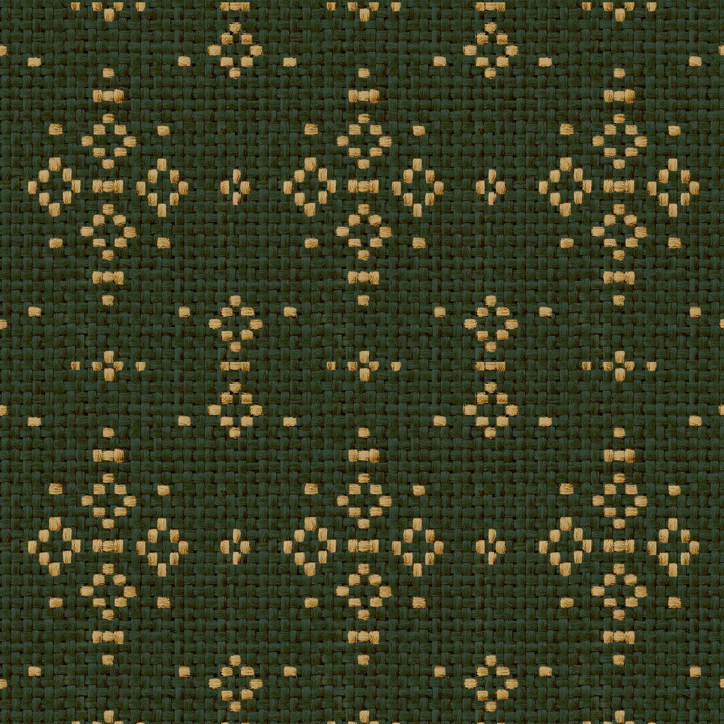 Muestra de Mazahua Cactus