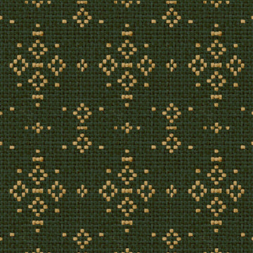 Muestra de Mazahua Cactus