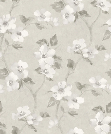 Helen`s Flower Gray
