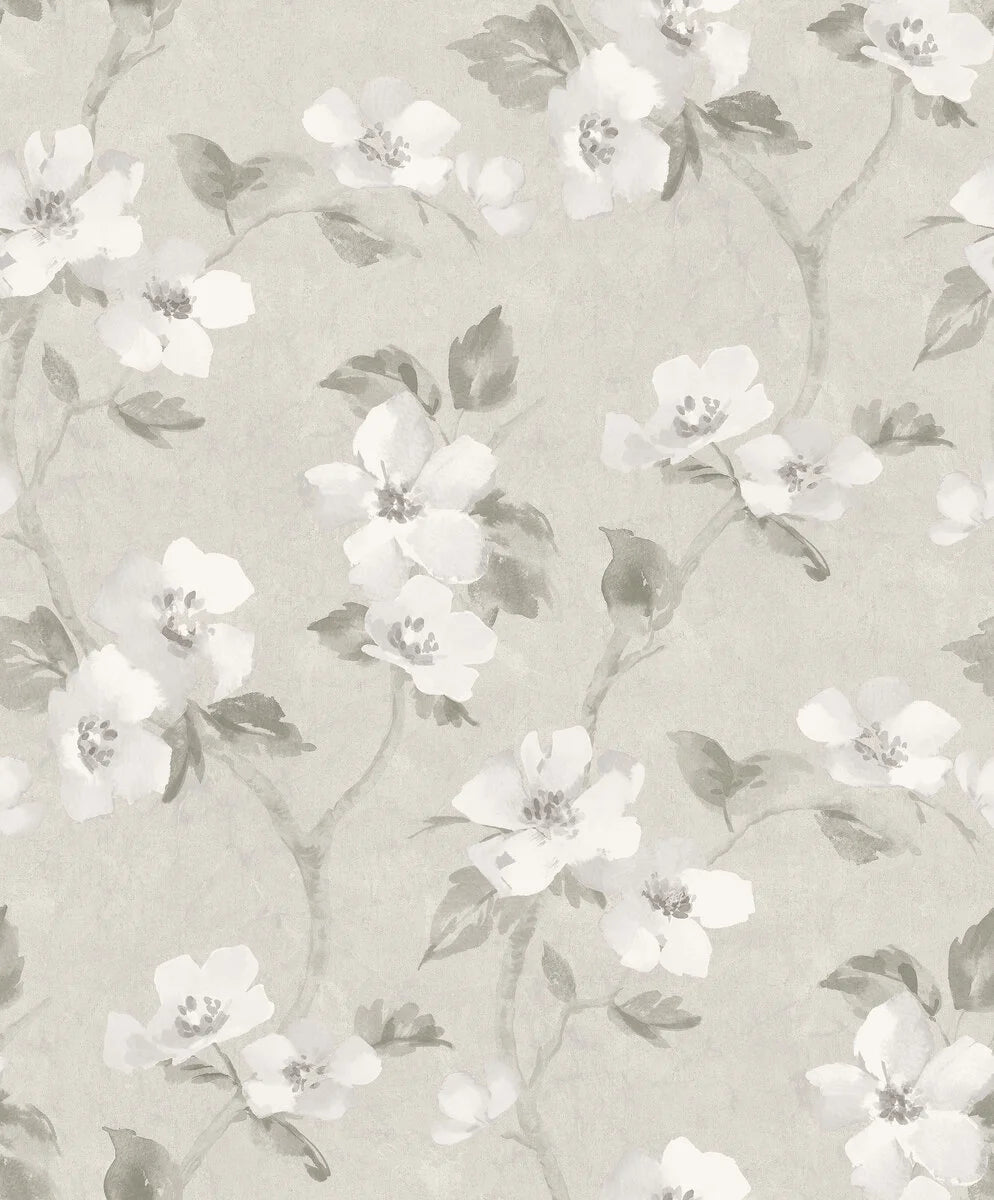 Helen`s Flower Gray