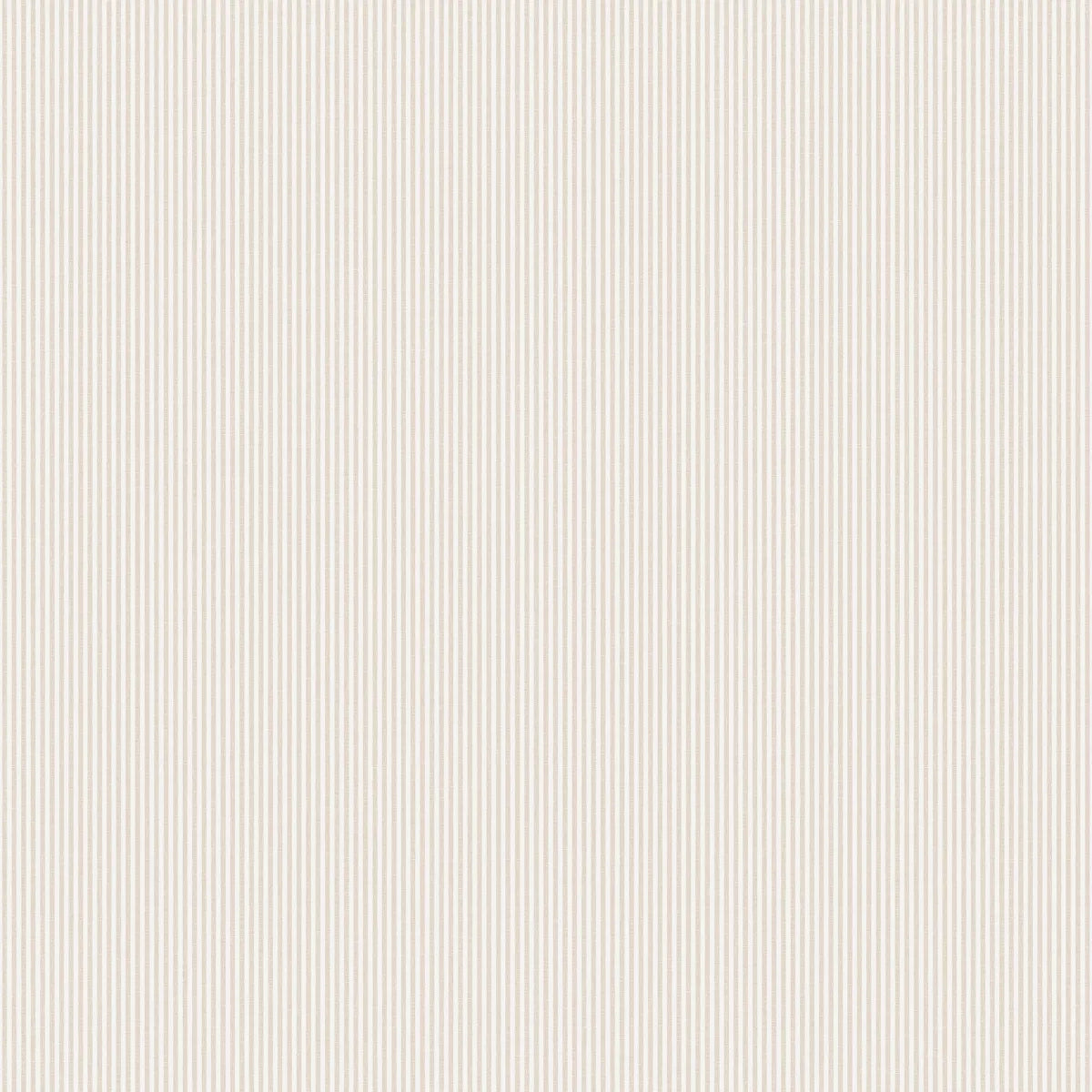 Rand Sandstone
