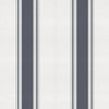Stripe 5 Galaxia