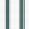 Stripe 5 Parra