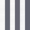 Stripe 8 Galaxia