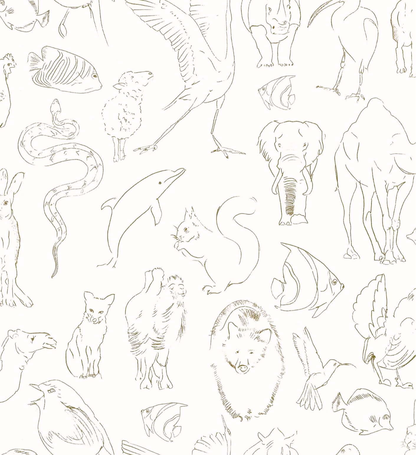 Muestra de Zoología Natural