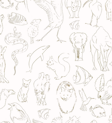 Muestra de Zoología Natural