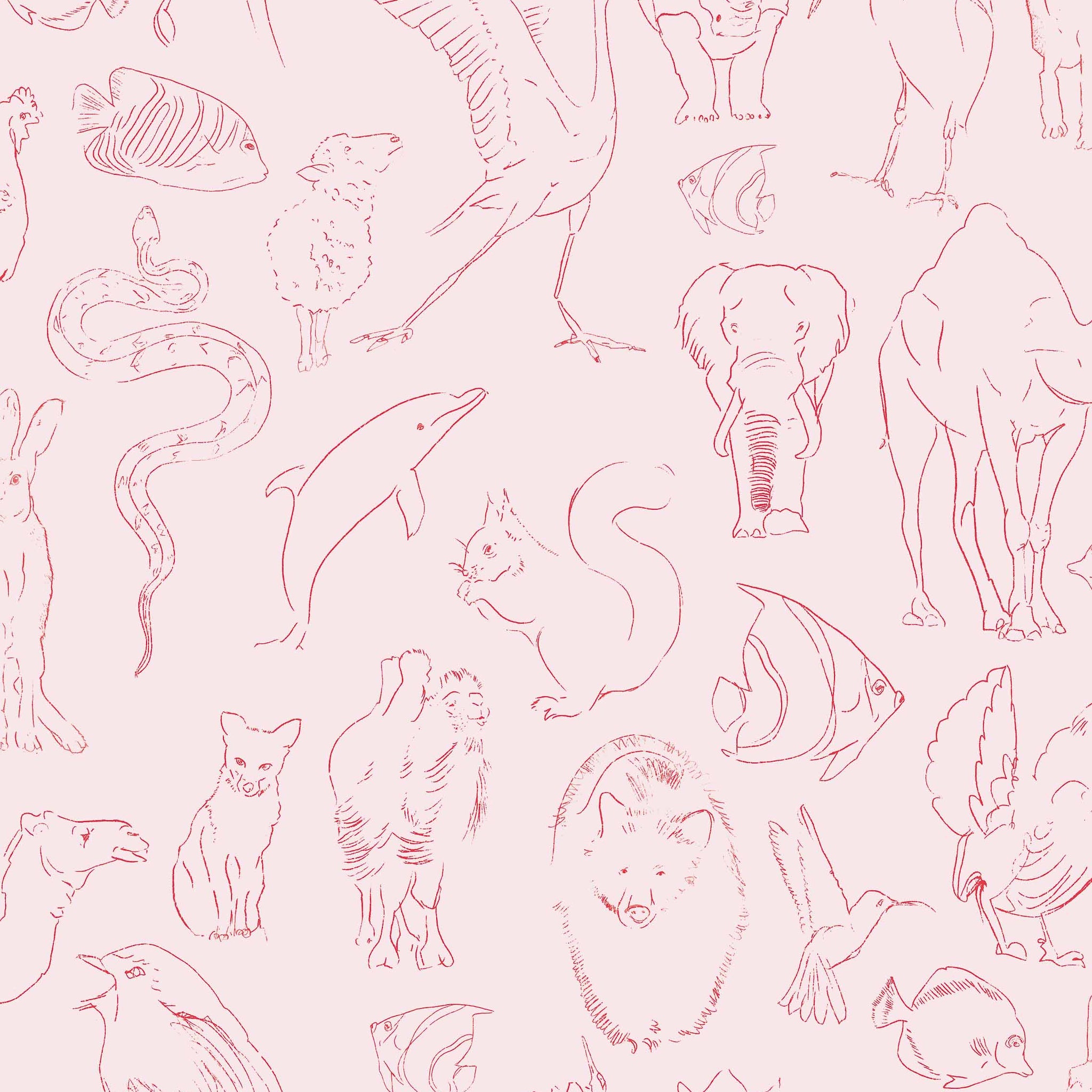 Zoología Candy