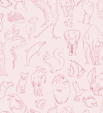Zoología Candy