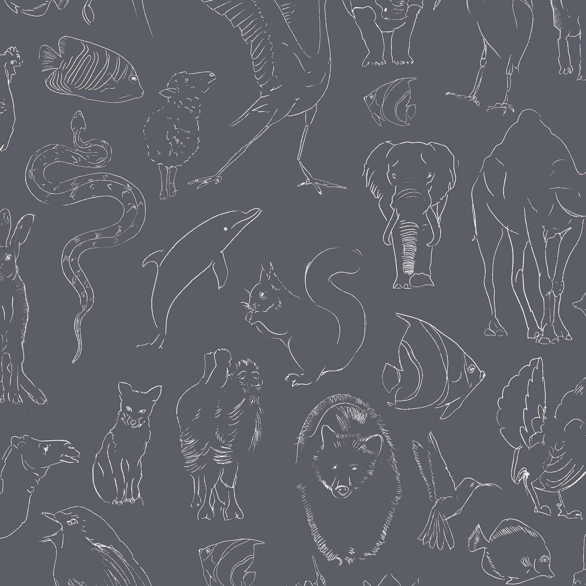 Zoología Chalk