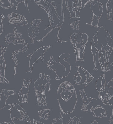 Zoología Chalk