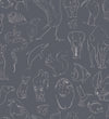 Zoología Chalk