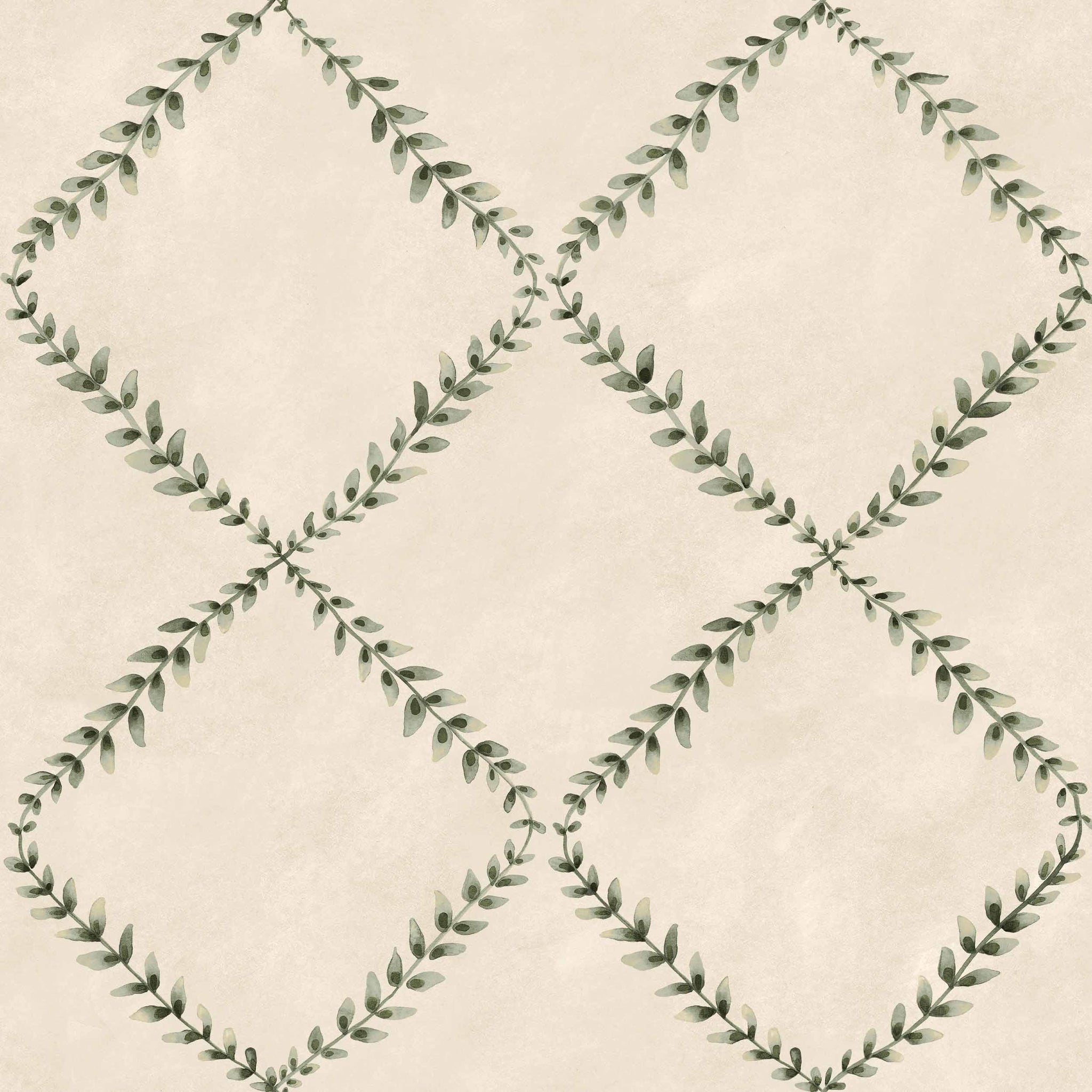 Muestra de Ivy-Garland Bone