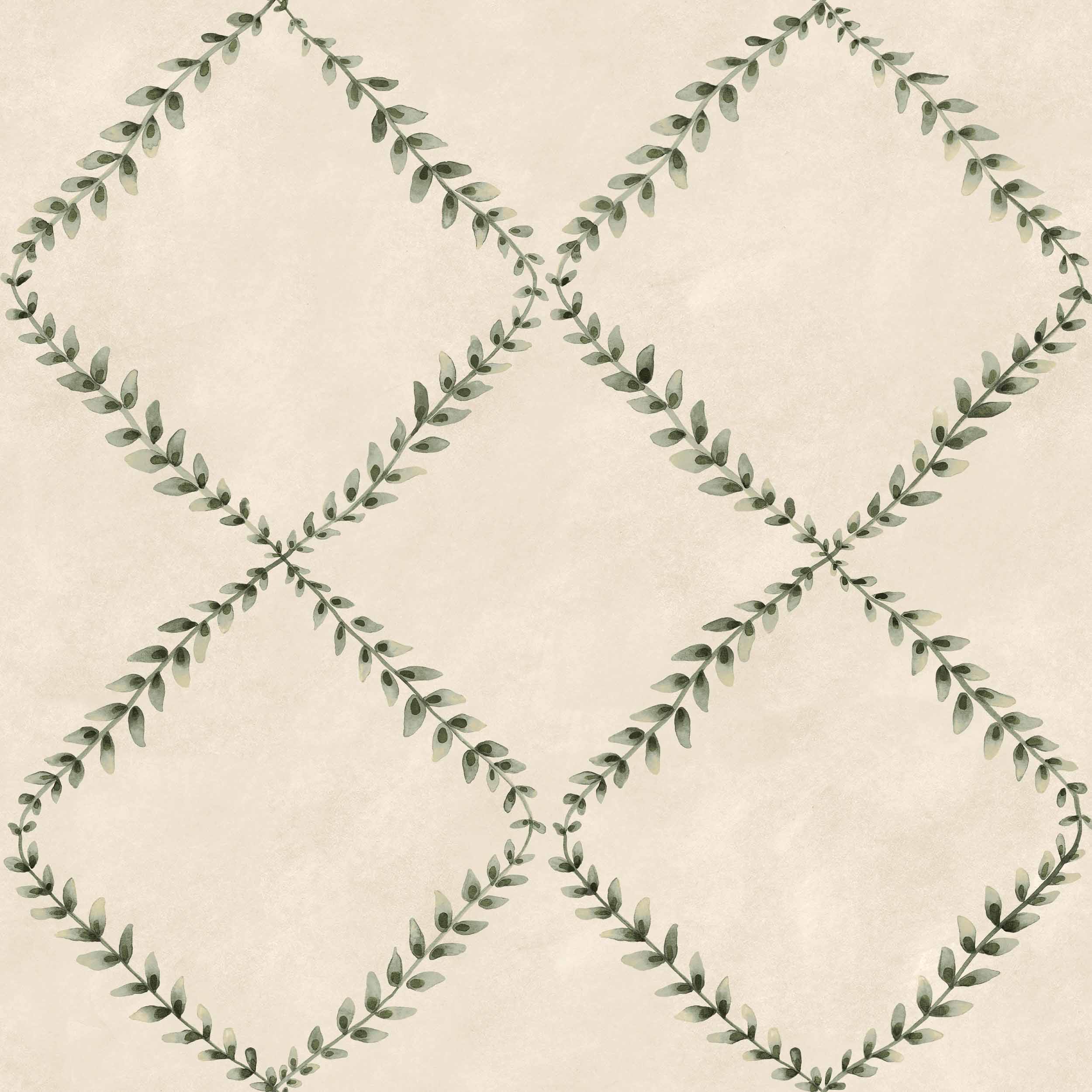 Muestra de Ivy-Garland Bone