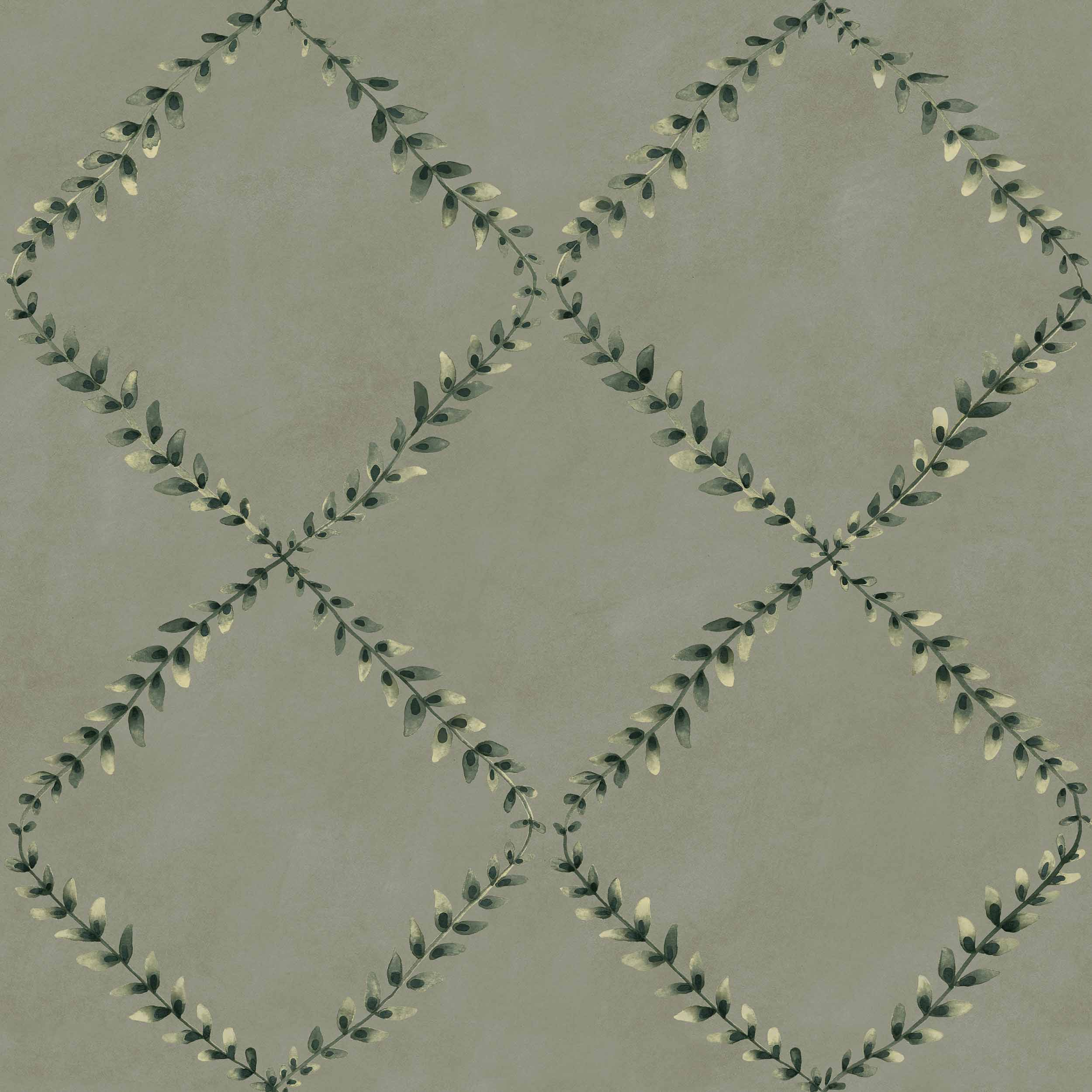 Muestra de Ivy-Garland Sage