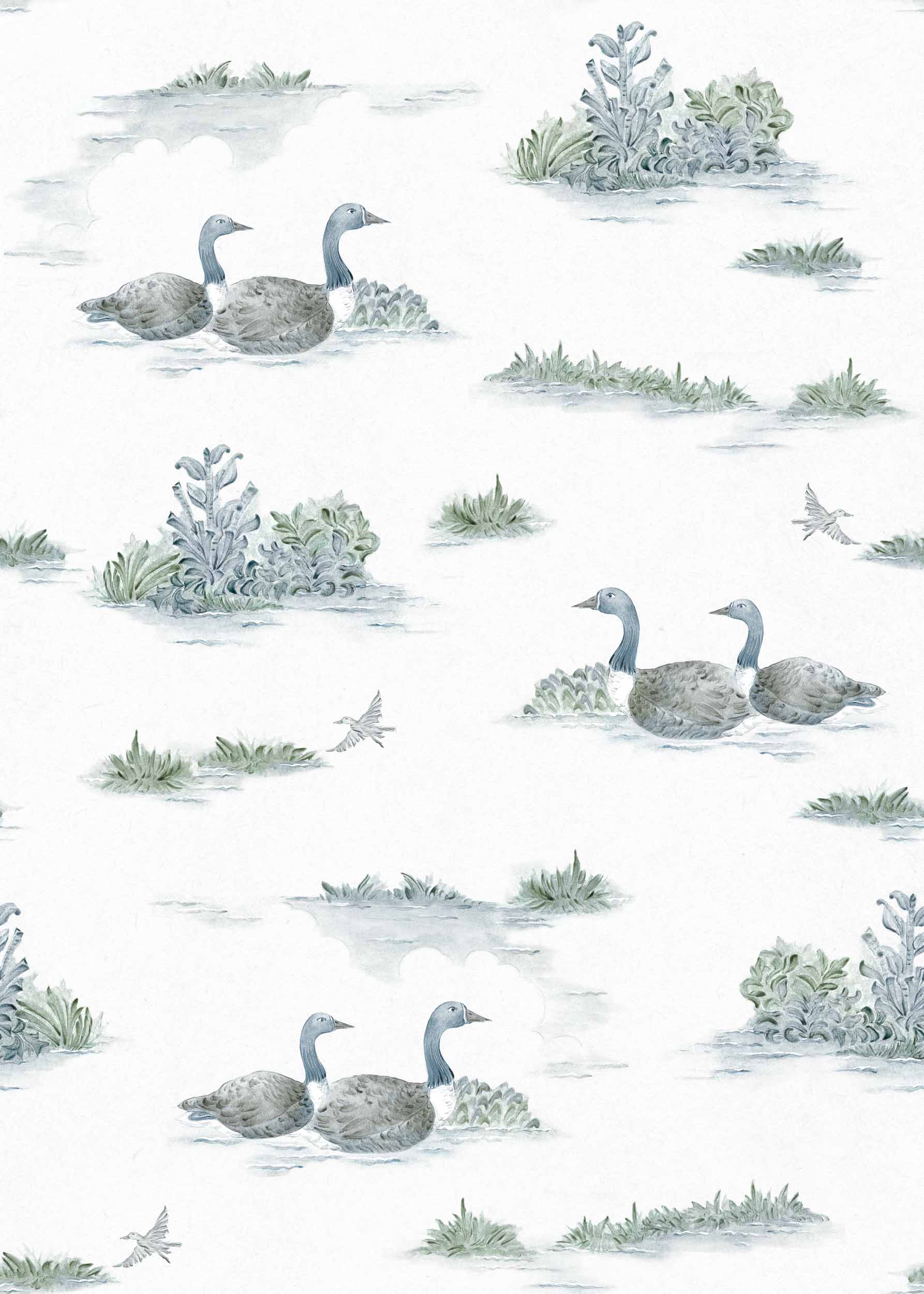 Muestra de Duck Aqua