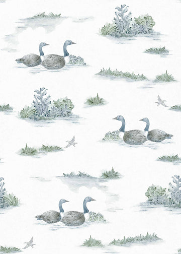 Muestra de Duck Aqua