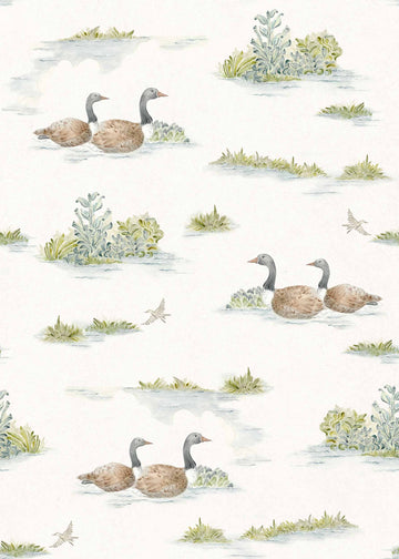 Muestra de Duck Sage