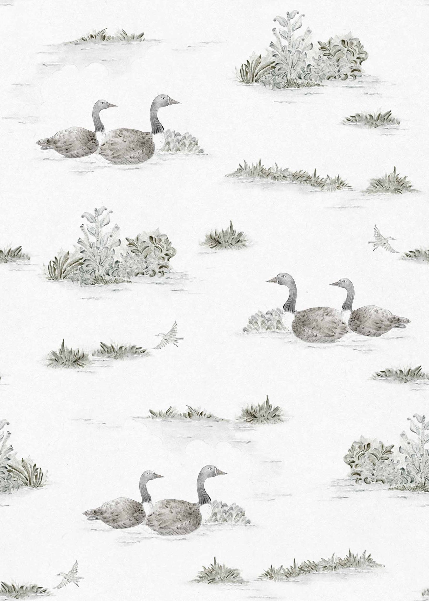 Muestra de Duck Silver