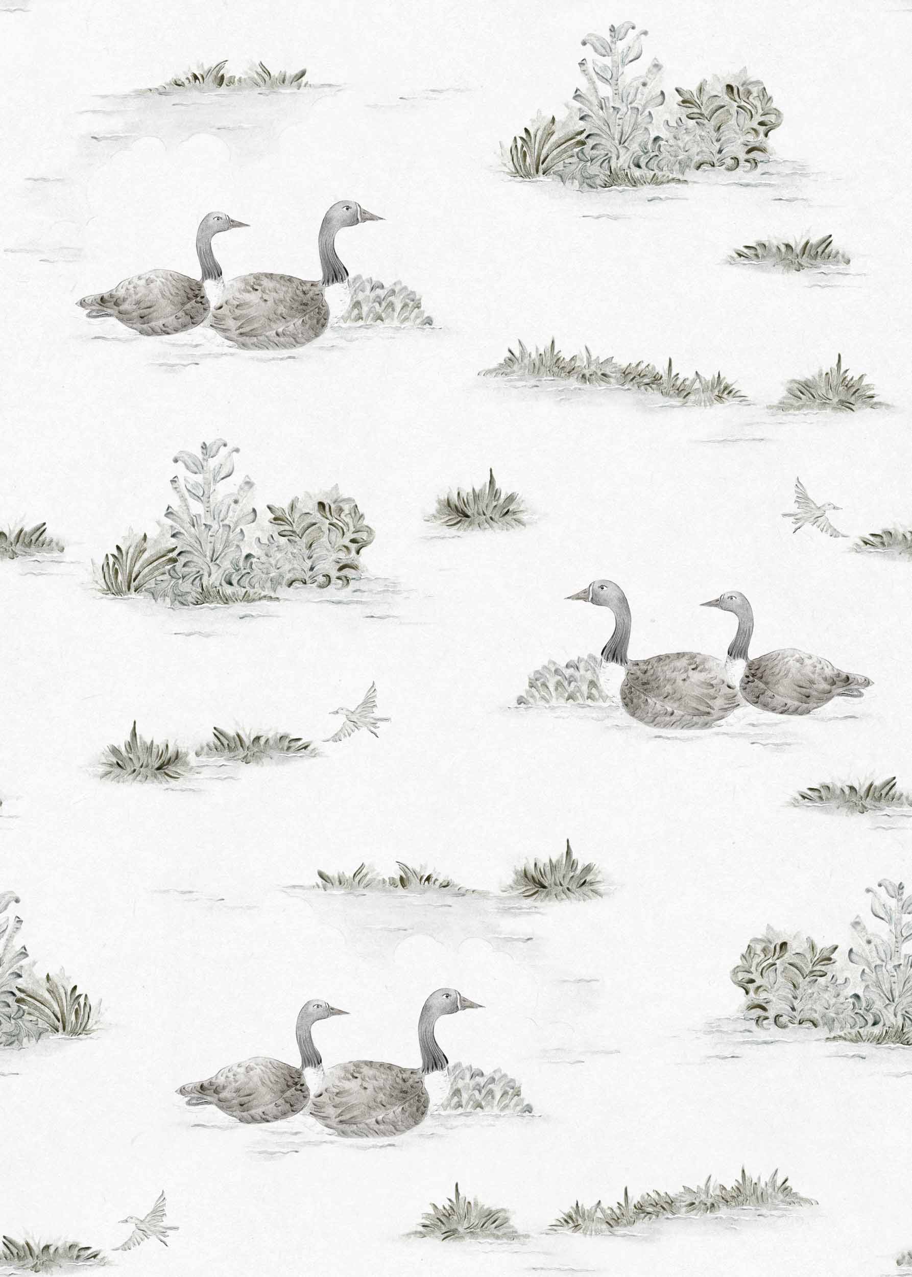 Muestra de Duck Silver