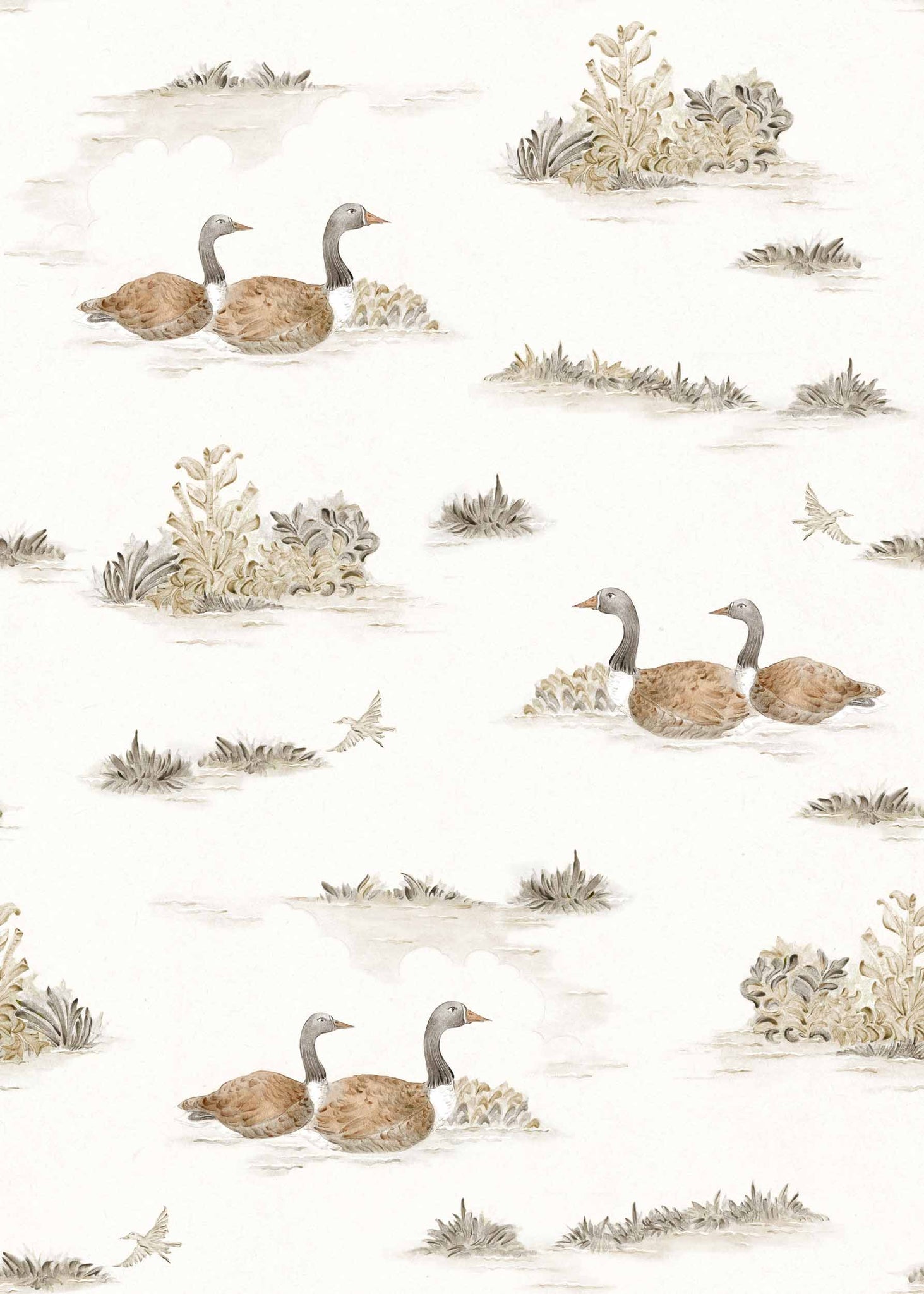 Muestra de Duck Sunny