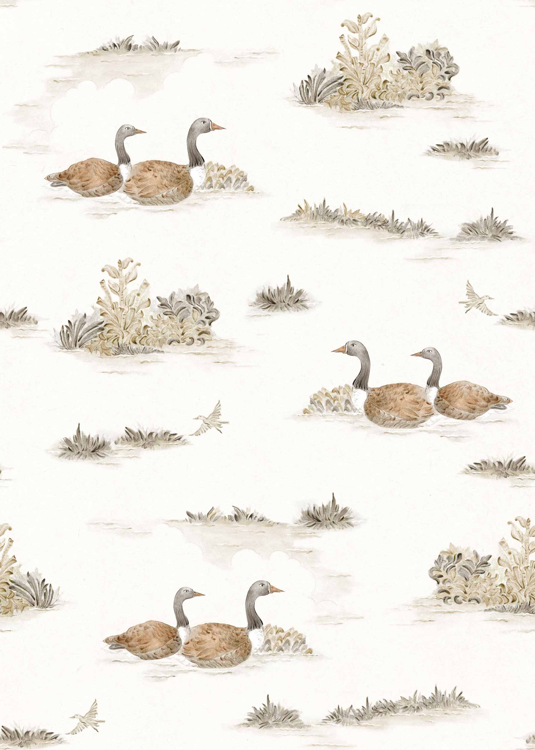 Muestra de Duck Sunny